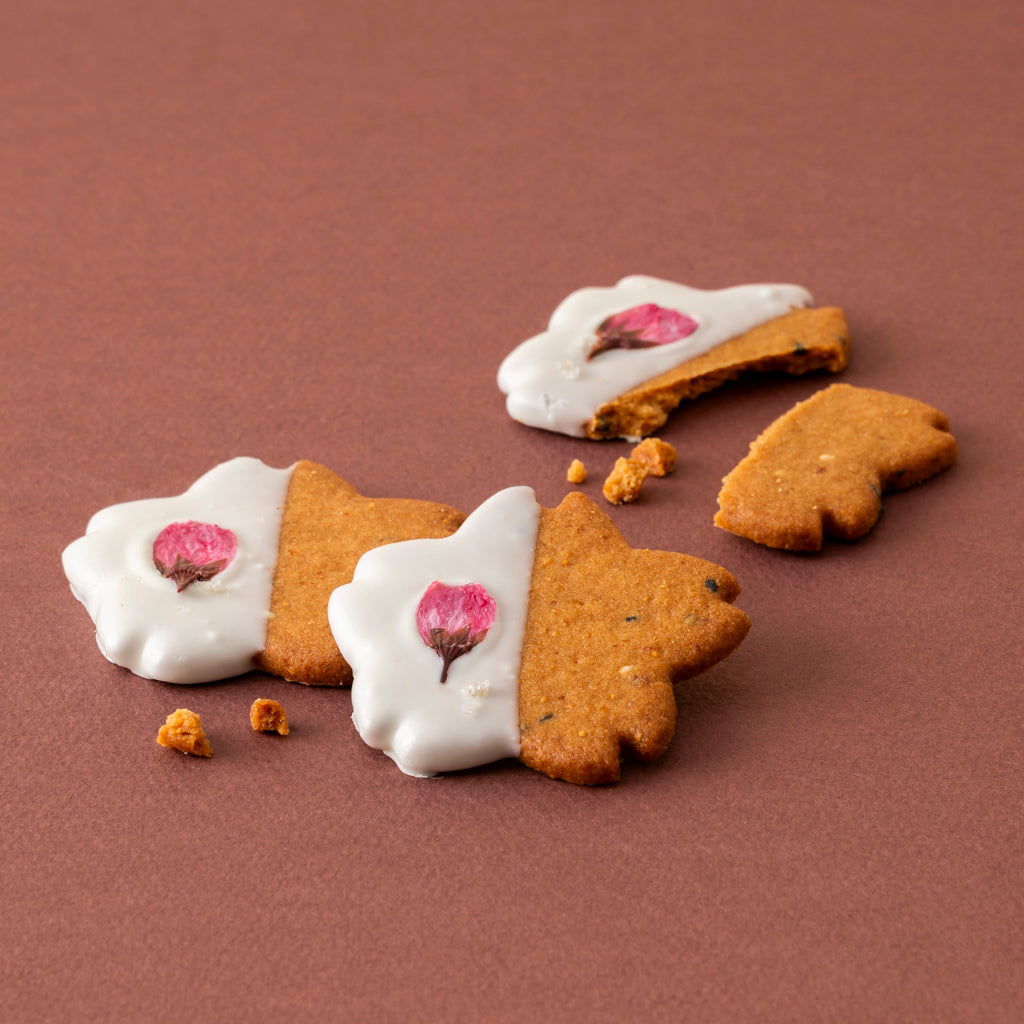 「花咲く彩りサブレ20枚入り」(サブレ4種入り)