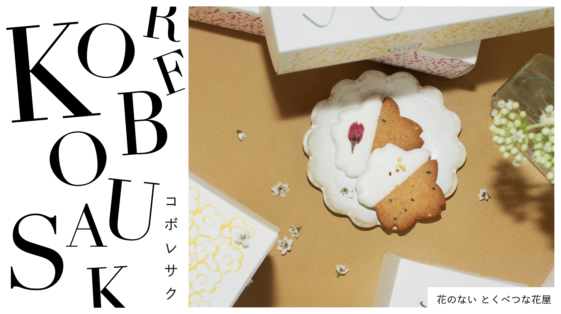 ZAXFOXより新店舗が誕生します。online shop 「KOBORESAKU （コボレサク）」
