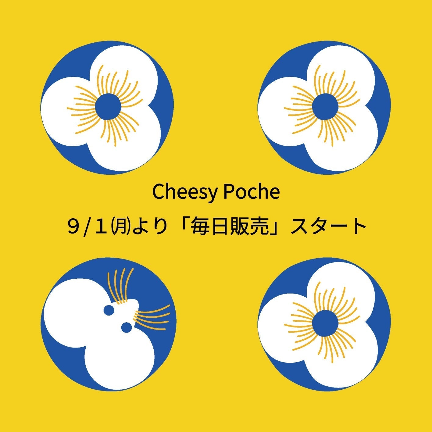 ９/１(月)より毎日販売