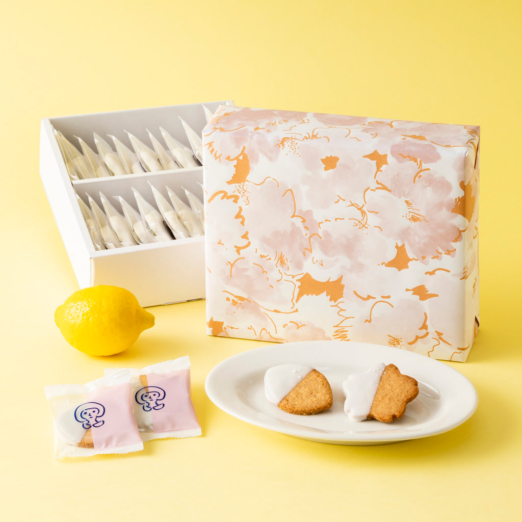 果実の余白｜塩レモンチョコレート　２０枚入り